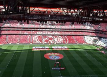Os onzes prováveis do Benfica para o jogo contra o Vitória de Guimarães